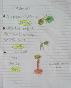 43240-TVM-KUNJ-MuhammadAssad-1C.jpg