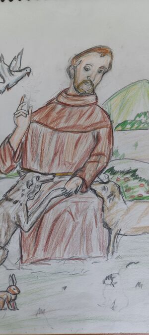 47017 SAVIO 7 C 29 .jpg