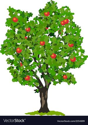 APPLE TREE.jpg