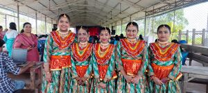 BS TVM 44066 kalo3.jpeg