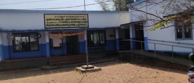 പ്രമാണം:GLPS NELLIKKATTIRI.jpeg