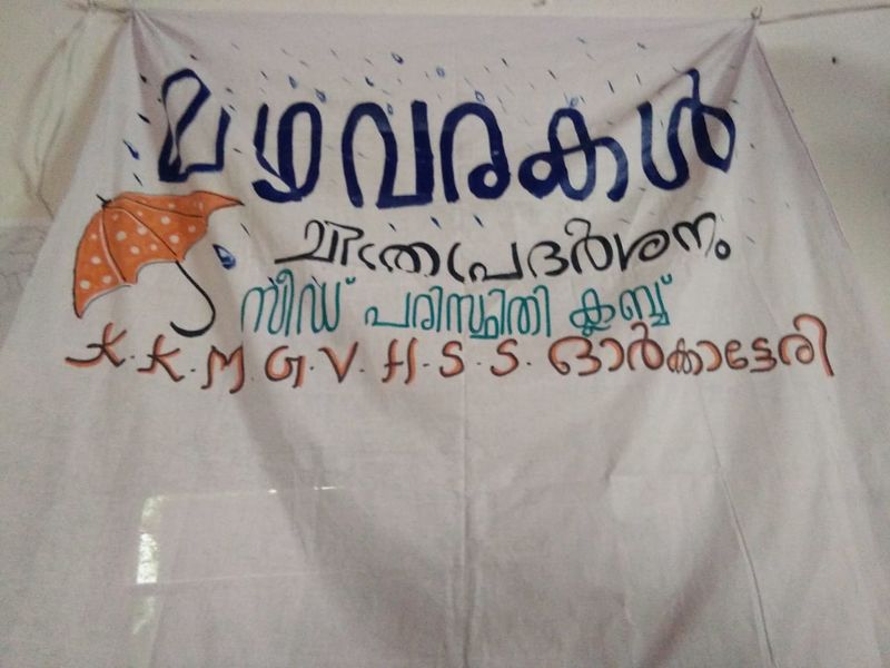 പ്രമാണം:Rain 19.jpg