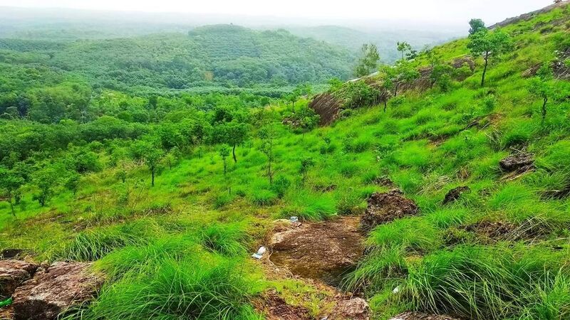 പ്രമാണം:01034 vellanikkal.jpg