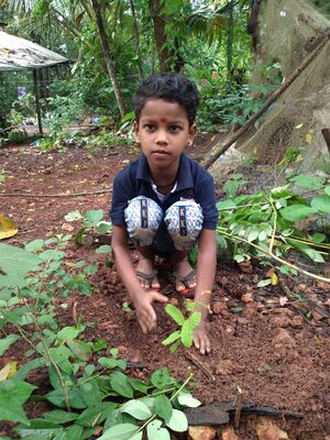 12334 loka paristhithi dhinam.jpeg