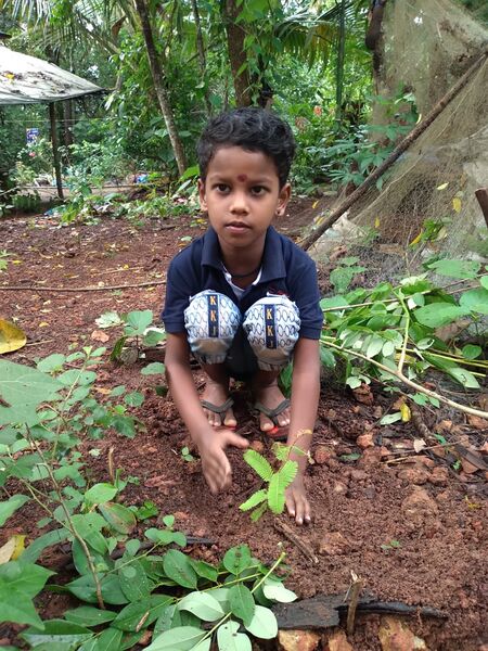 പ്രമാണം:12334 loka paristhithi dhinam.jpeg