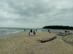 19025 Tanur-beach.jpeg