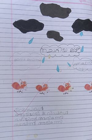 21915-PKD-KUNJ-AKARSHA 1 C.jpeg