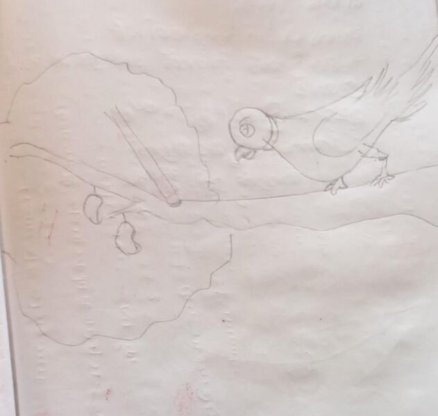 പ്രമാണം:23453-TSR-KUNJ-FIZA FATHIMA P M(STD1).jpeg