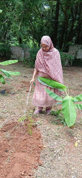 പ്രമാണം:24348 gbs pd 4.jpg