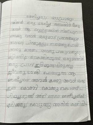 33319-ktm-kujja-Mia Susan.jpeg