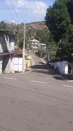 38603 street.jpg