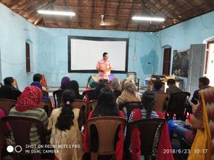 39006 lk3.resized.jpg