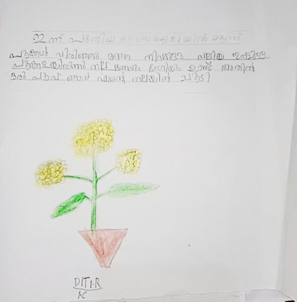 പ്രമാണം:42447-TVM-KUNJU-DITI R. jpeg.jpg