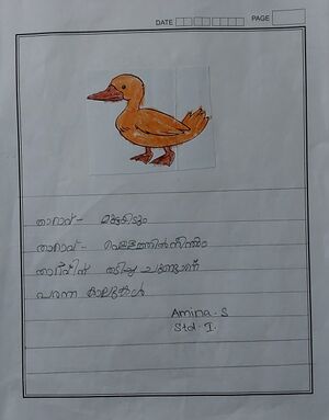 43336-TVM-KUNJ-Amina S.jpg