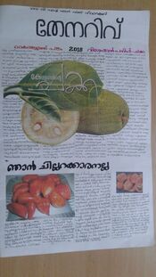 കൈയെഴുത്തുപത്രമായ തേനറിവ്