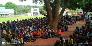 45051 Pra7.resized.jpg