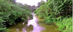 47119 punur puzha.png