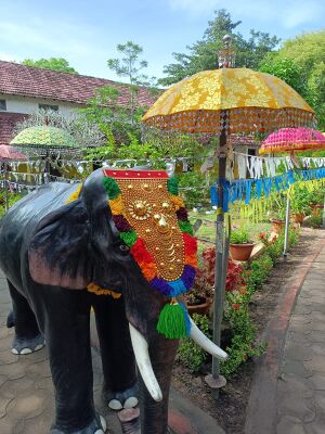 BS21 ALP 34011 5.jpg