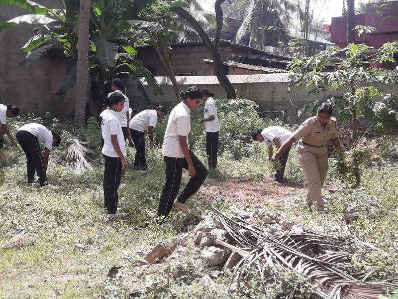 പ്രമാണം:Cleaning spc 43065.jpg