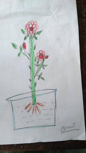 WhatsApp Image 2024-03-19 at 11.19.48 AM.jpeg