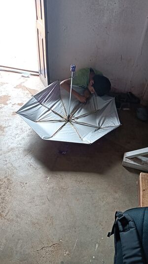 WhatsApp Image 2026-03-17 at 19.05.43 (1).jpg