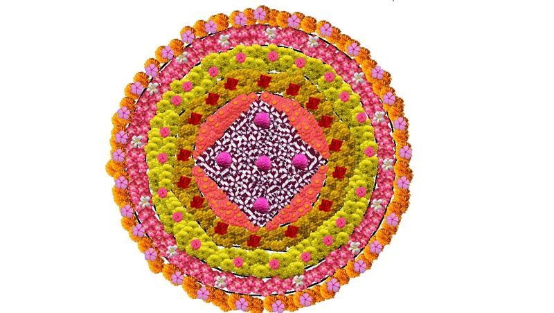 പ്രമാണം:13012 Knr dp 2019 2.jpeg