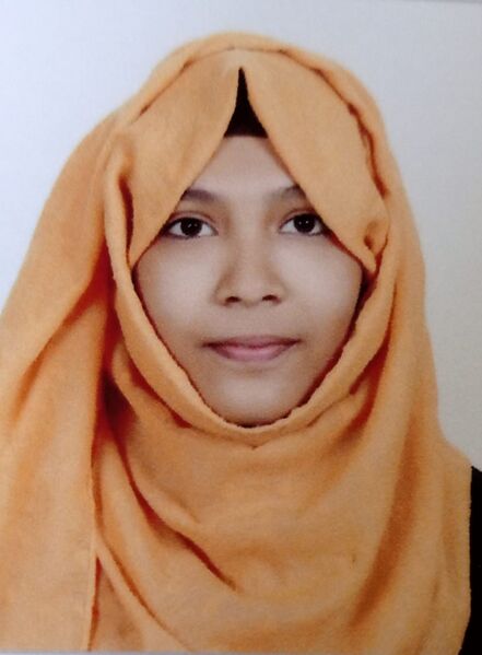 പ്രമാണം:13055 h17.jpeg