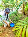 19:54, 14 ഫെബ്രുവരി 2022-ലെ പതിപ്പിന്റെ ലഘുചിത്രം