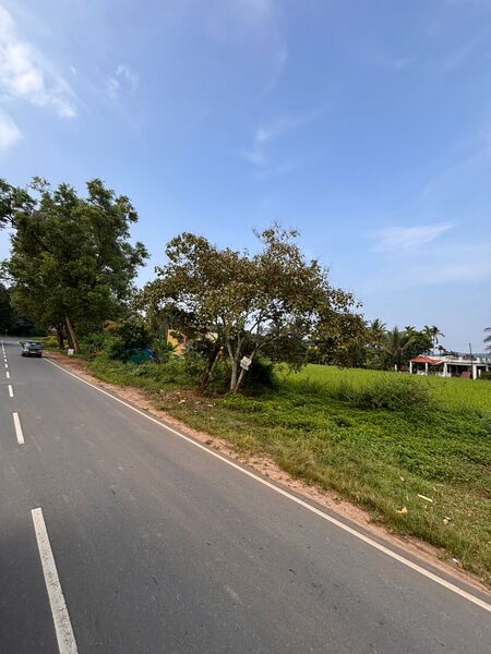 പ്രമാണം:15371 -.jpg