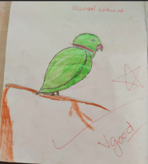 18471-MLP-KUNJ-MUHAMMAD FARHAN.png