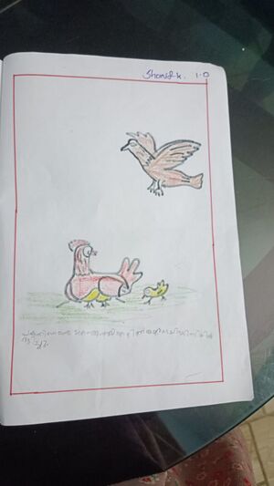 18641-MLP-KUNJ-SHANIF 1 D.jpeg