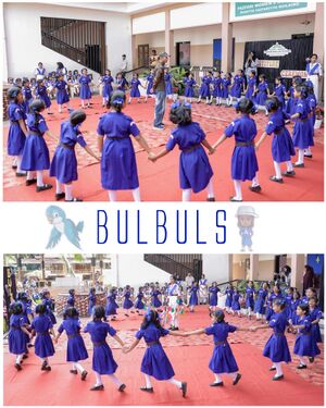 18679 INVI 25-26.jpg