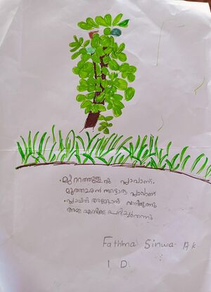 19776-MLP-KUNJ-FATHIMA SINWA A K.jpg