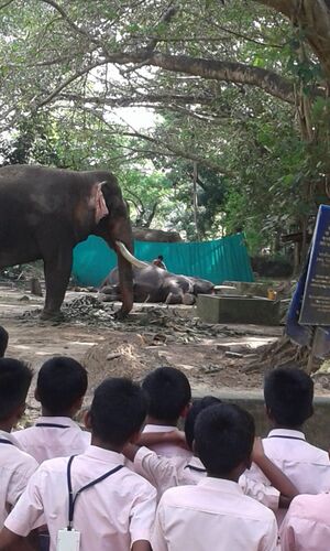 24257 - padanayathra 1.jpg