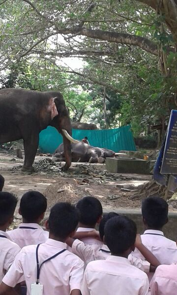 പ്രമാണം:24257 - padanayathra 1.jpg