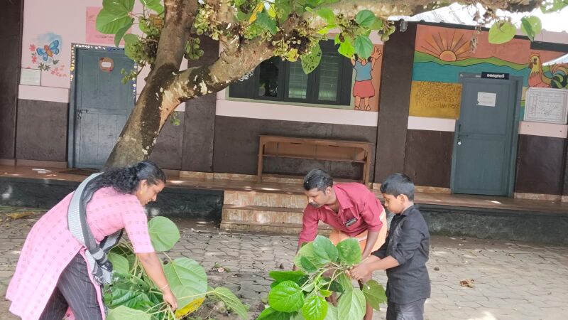 പ്രമാണം:29228 ga.jpg