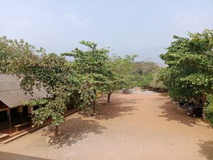 51045-hight view.jpg