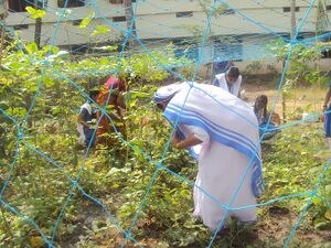 Jaivakrishi 14 35052 (2).JPG