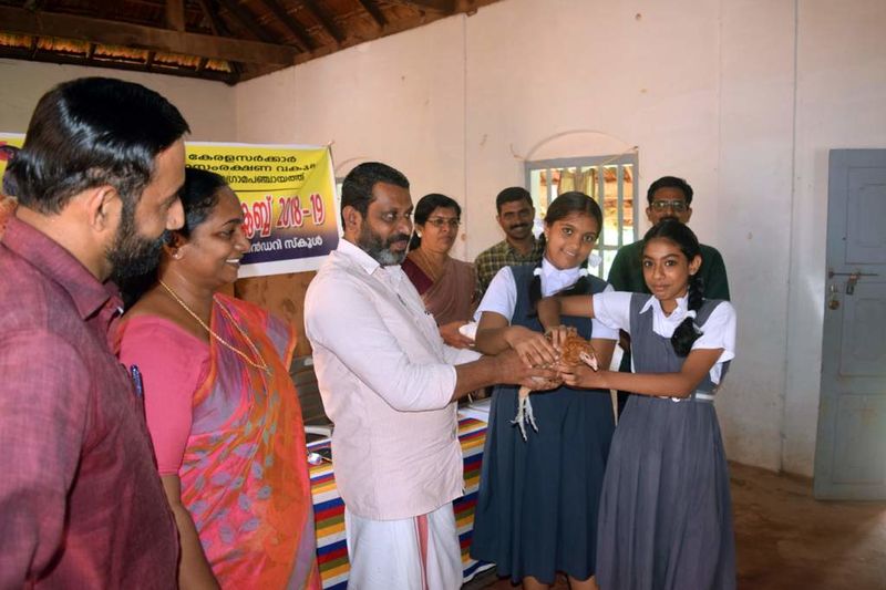 പ്രമാണം:Kadambur poultry007.jpg