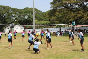 Ksk-2024-throwBall-6NOV-VeliGround FortKochi-AnvarSadath-MMOVHSS-pANAYAPPALLY 11.jpg