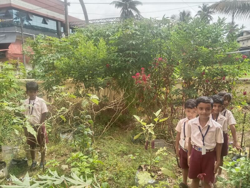 പ്രമാണം:NUTRICIAN GARDEN.jpeg