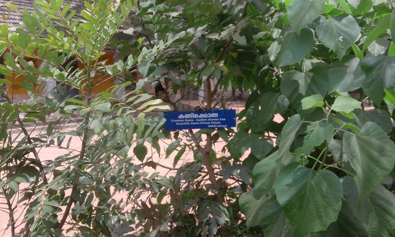 പ്രമാണം:Naming 20.jpg