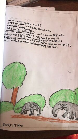 11041-KGD-KUNJ-SANJITH 1B.jpeg