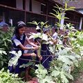 14:11, 13 ജനുവരി 2022-ലെ പതിപ്പിന്റെ ലഘുചിത്രം