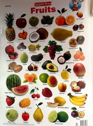 18679 learning aids 24-25 (2).jpg