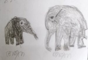 30412-IDK-KUNJ-KARIMA K.jpg