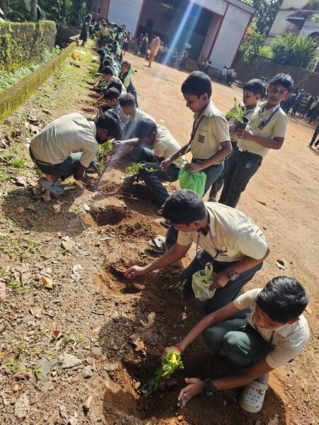 പ്രമാണം:31037 Environmentday 2.jpg