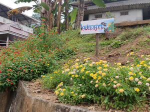 32020 butterfly g 01.jpg