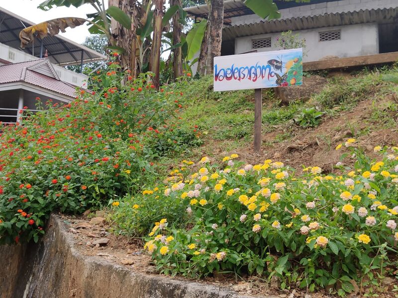 പ്രമാണം:32020 butterfly g 01.jpg