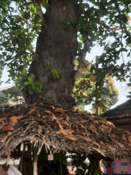 പ്രമാണം:35432 SCHOOL 1.jpg